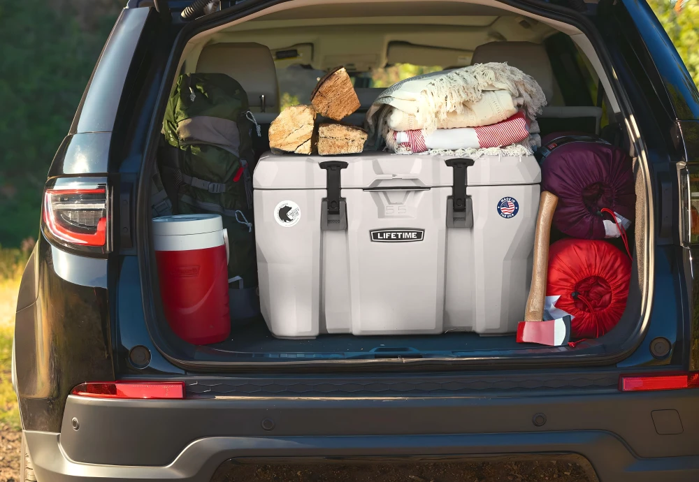 car ice chest cooler
